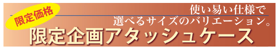ストリートパフォーマー、大道芸人専用のお求め安いレギュラーケース